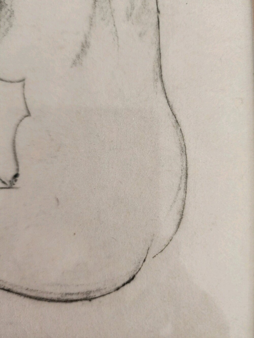 Nude Woman Sketch By Well Known Swedish Artist åke nothberg” - Picture 6 of 16